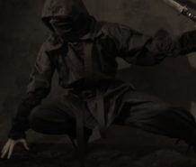 Stealth Wealth Discussions with Sam Dogen