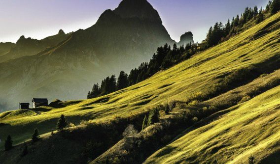 Avoid The Mistakes Entrepreneurs Commonly Make—What You Need To Know To Move Forward