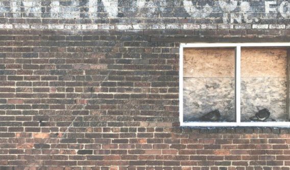 Why Businesses Fail—Focus On What You Enjoy For Successful Results