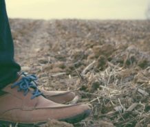 Proven Systems—The Path That Leads To Success