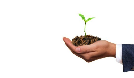 When You Should Not Grow Your Business