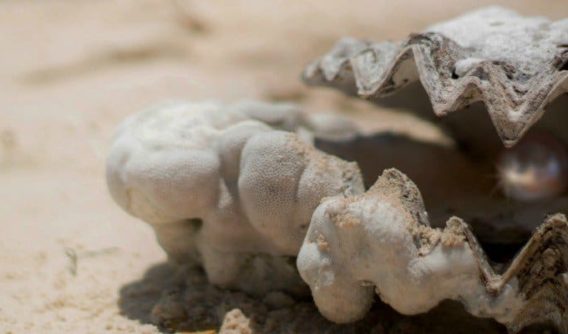Finding Your Significance When The World Is Your Oyster