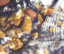 Be The Pebble In The Pond