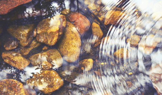 Be The Pebble In The Pond