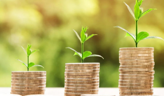 Your Accountability is Important to Your Financial Success