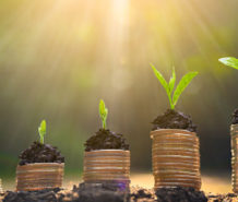 What It Takes To Be A Steward And Generate Cash Flow