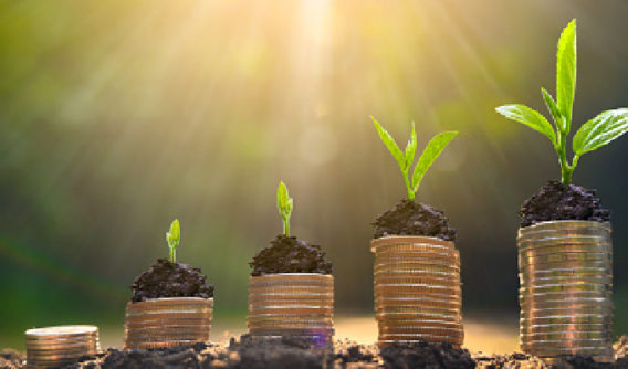 What It Takes To Be A Steward And Generate Cash Flow