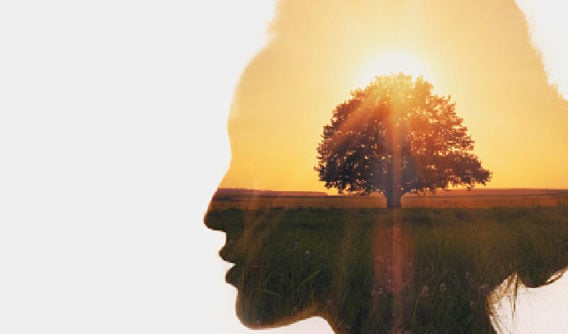 How to Stop Negativity - A Fulfilling Life Starts in Your Mind