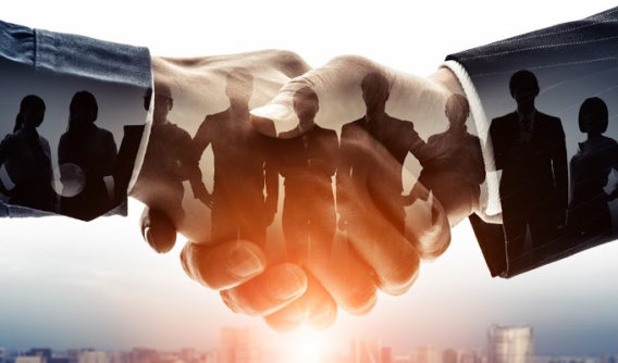What Is the Quickest Way to Become a Business Expert?