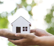 A Brief Look Into A Land Investor's True Success Story