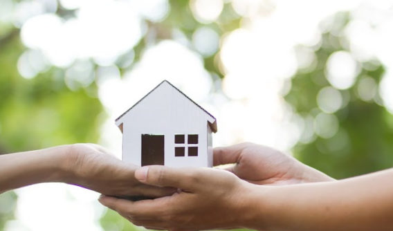 A Brief Look Into A Land Investor's True Success Story