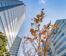 What are the Benefits of Commercial Real Estate?