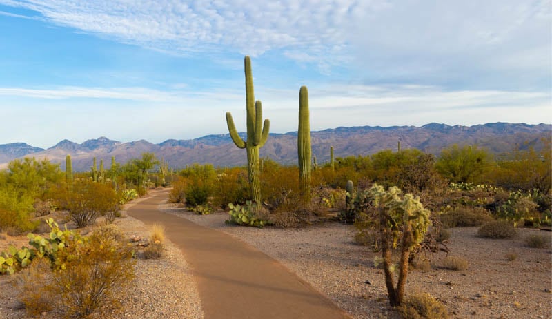 arizona-land