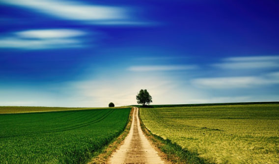 Create Wealth And Enjoy Early Retirement With Land Investing