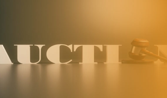 What’s the Deal with… Tax Deed Auctions?