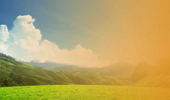 A Former Student Proves That the Land Geek Can Lead You To Live Your Best Life