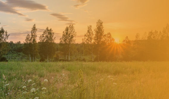 How a Retired Pastor and Father of Three Turned Full-time Land Investor