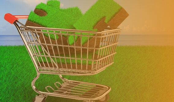 How to Market Land on Black Friday, Tips from The Land Geeks