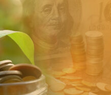 How a Land Geek Student Replaced His Teaching Income with Land Investing